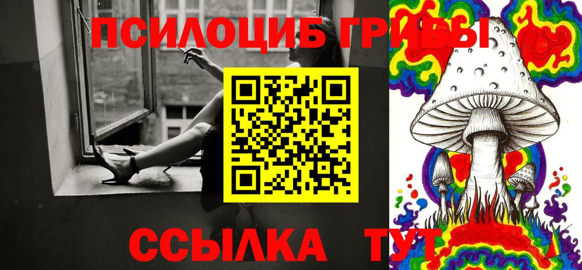 Галлюциногенные грибы Cubensis Рузаевка