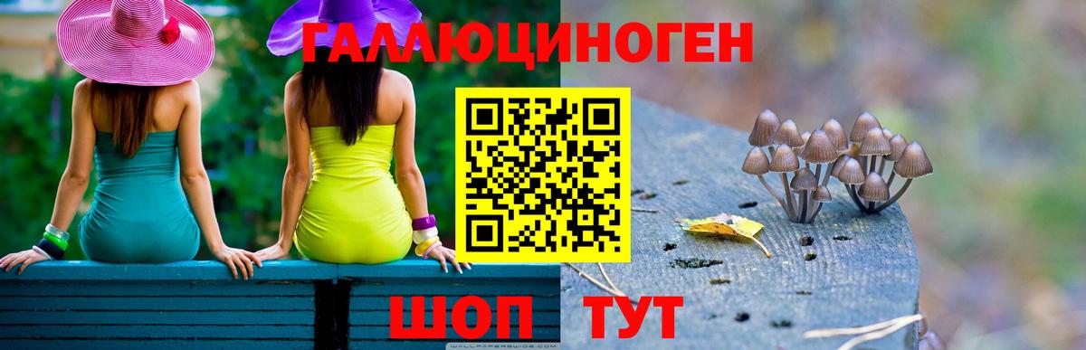 Псилоцибиновые грибы ЛСД  Вход с VPN  Галлюциногенные грибы GOLDEN TEACHER  Рузаевка 